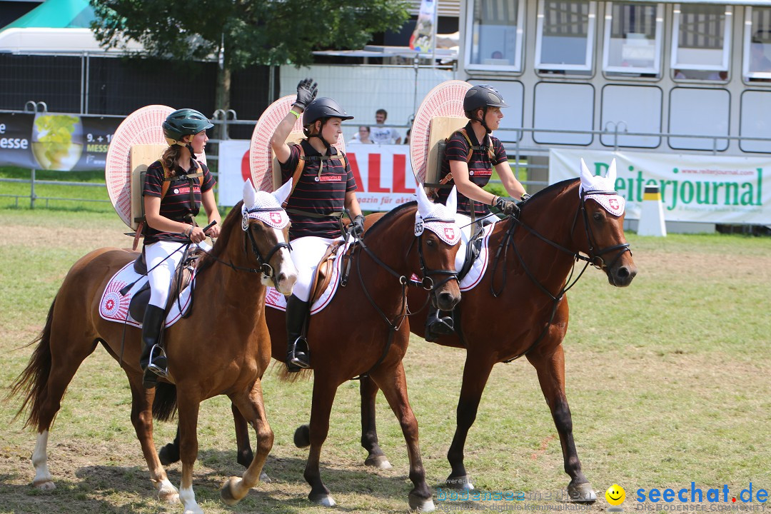 eurocheval - Europamesse des Pferdes - seechat: Offenburg, 27.07.2014