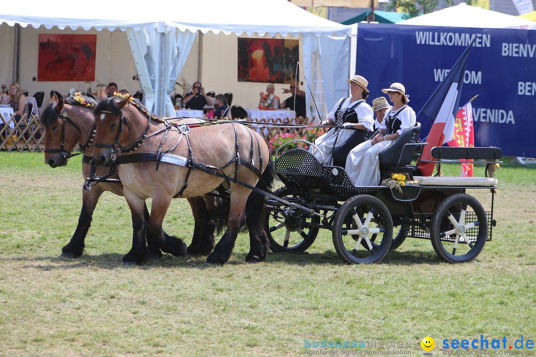 eurocheval - Europamesse des Pferdes - seechat: Offenburg, 27.07.2014