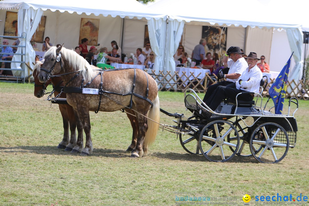 eurocheval - Europamesse des Pferdes - seechat: Offenburg, 27.07.2014