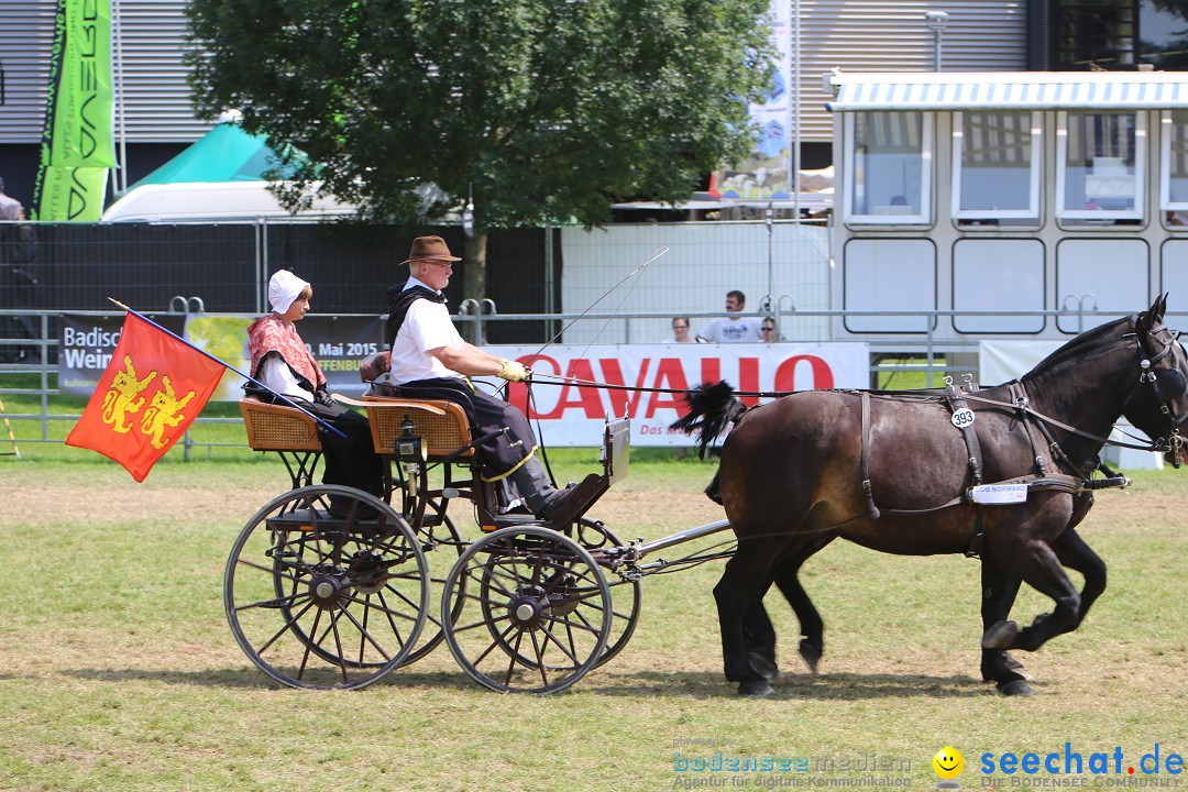 eurocheval - Europamesse des Pferdes - seechat: Offenburg, 27.07.2014