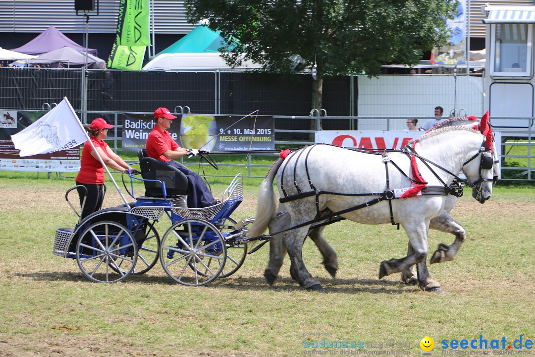 eurocheval - Europamesse des Pferdes - seechat: Offenburg, 27.07.2014