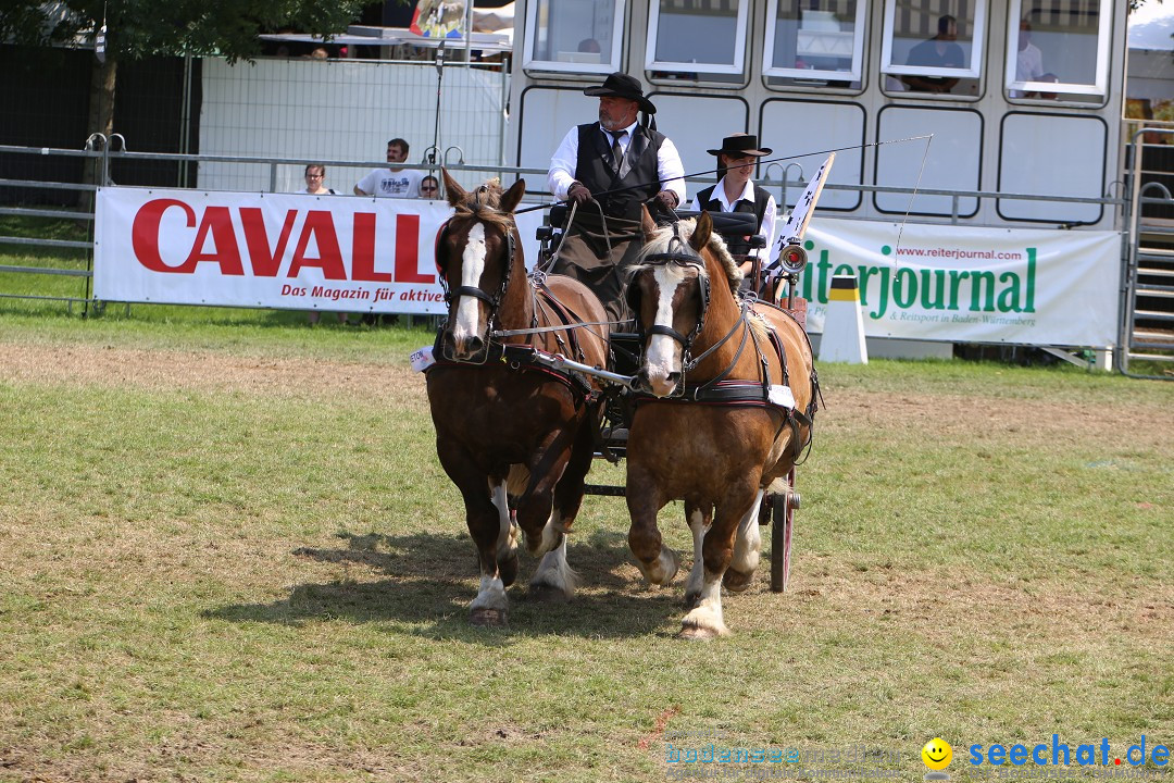 eurocheval - Europamesse des Pferdes - seechat: Offenburg, 27.07.2014