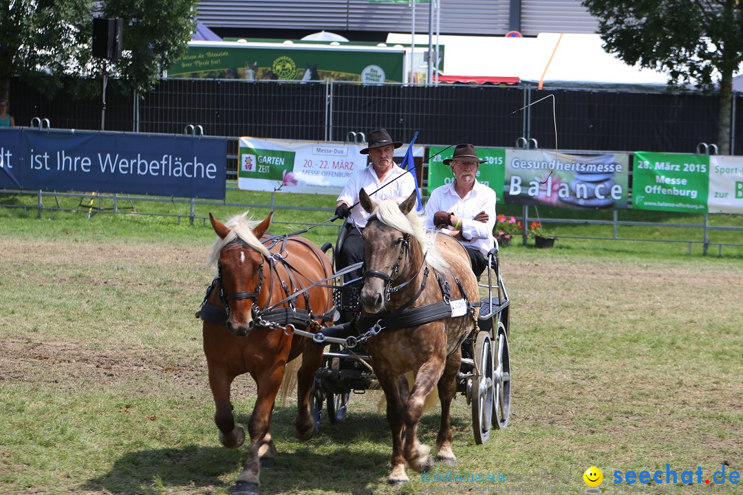 eurocheval - Europamesse des Pferdes - seechat: Offenburg, 27.07.2014