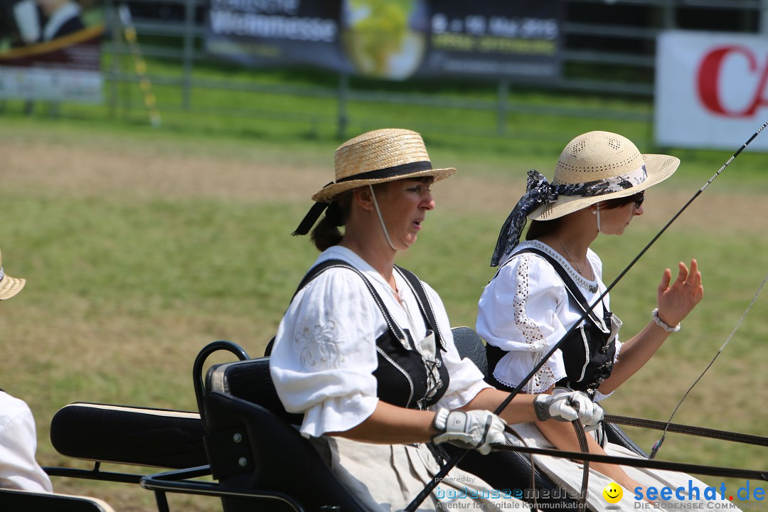 eurocheval - Europamesse des Pferdes - seechat: Offenburg, 27.07.2014