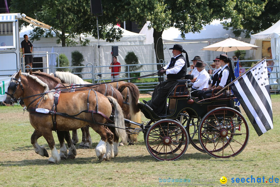 eurocheval - Europamesse des Pferdes - seechat: Offenburg, 27.07.2014