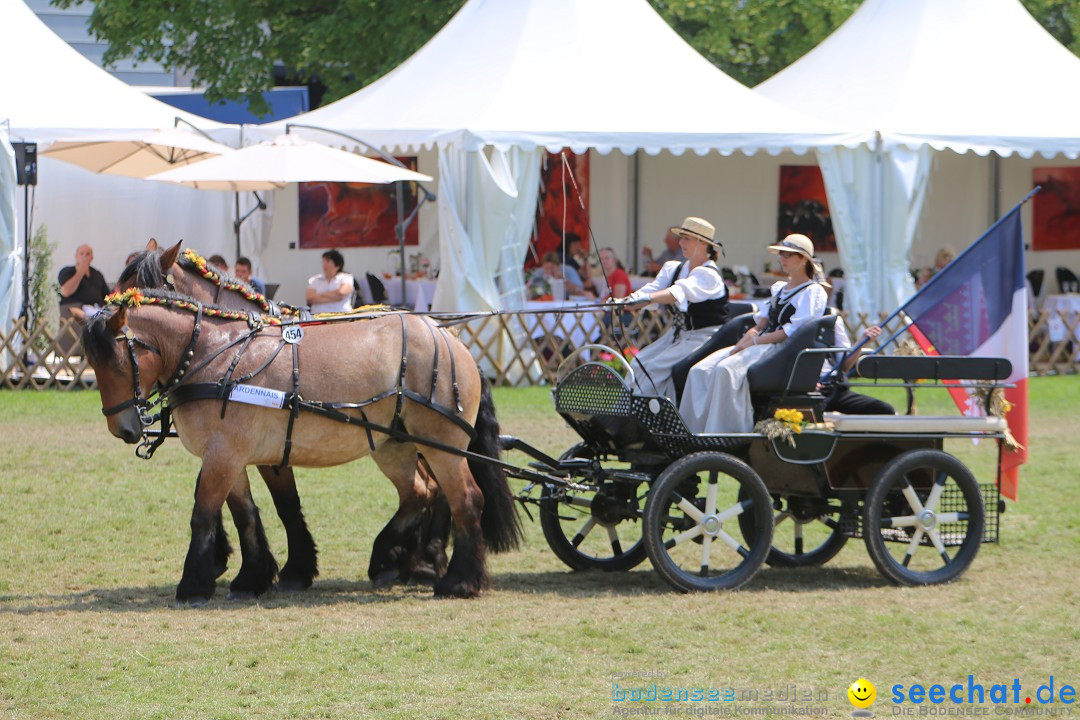 eurocheval - Europamesse des Pferdes - seechat: Offenburg, 27.07.2014