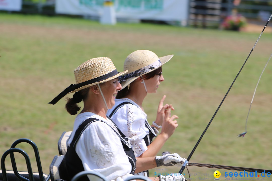 eurocheval - Europamesse des Pferdes - seechat: Offenburg, 27.07.2014