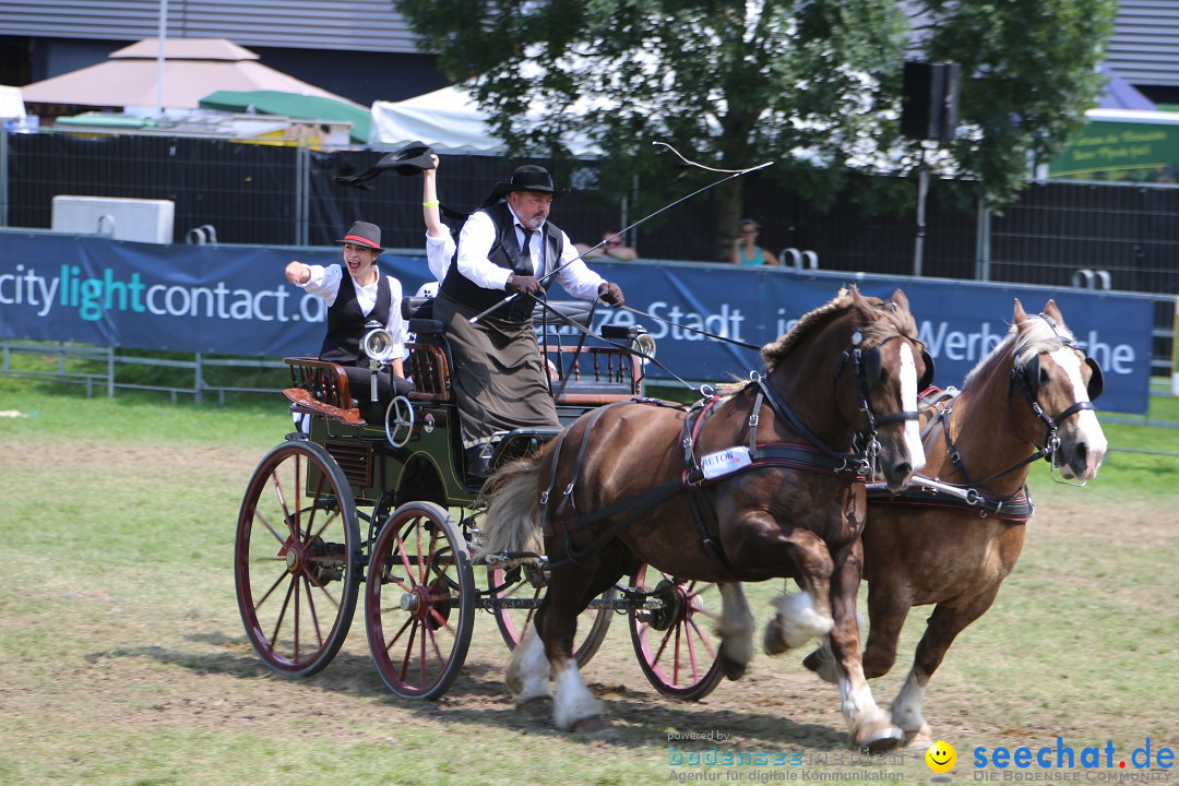 eurocheval - Europamesse des Pferdes - seechat: Offenburg, 27.07.2014