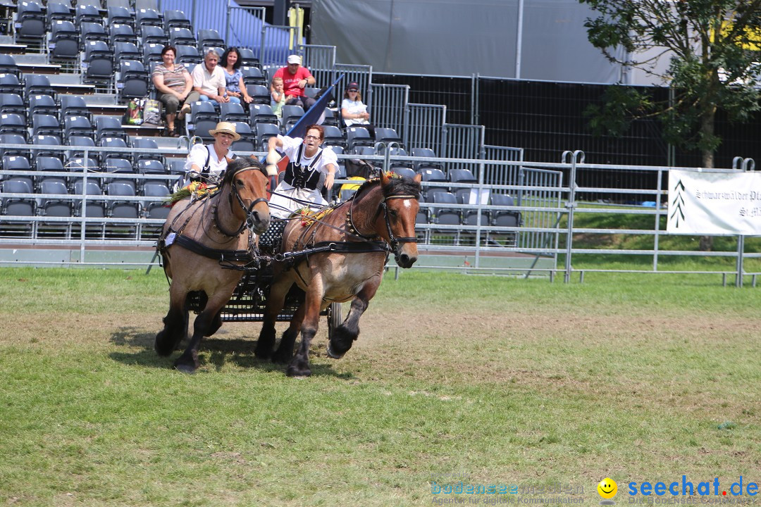 eurocheval - Europamesse des Pferdes - seechat: Offenburg, 27.07.2014