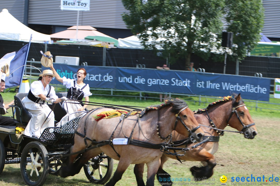 eurocheval - Europamesse des Pferdes - seechat: Offenburg, 27.07.2014