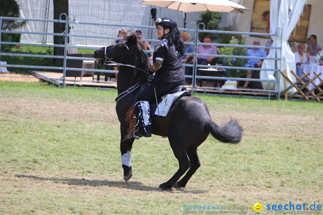 eurocheval - Europamesse des Pferdes - seechat: Offenburg, 27.07.2014