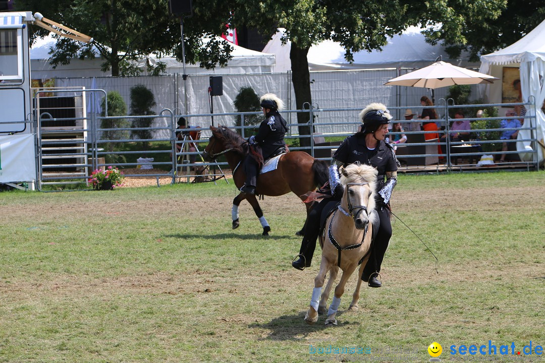 eurocheval - Europamesse des Pferdes - seechat: Offenburg, 27.07.2014