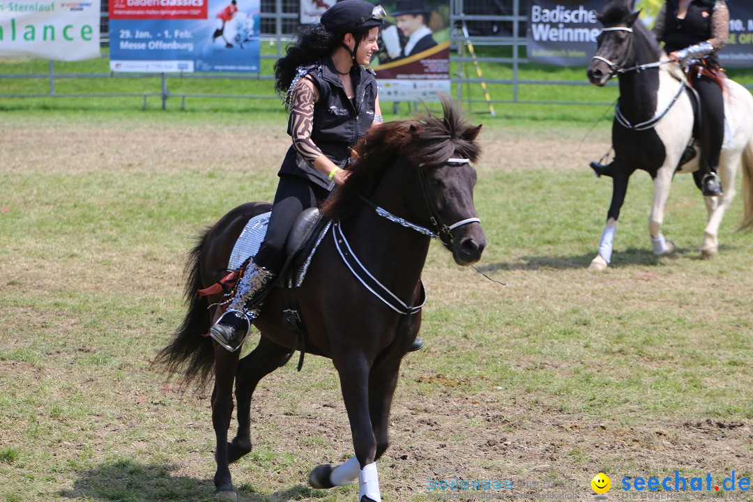 eurocheval - Europamesse des Pferdes - seechat: Offenburg, 27.07.2014