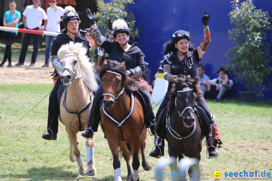 eurocheval - Europamesse des Pferdes - seechat: Offenburg, 27.07.2014