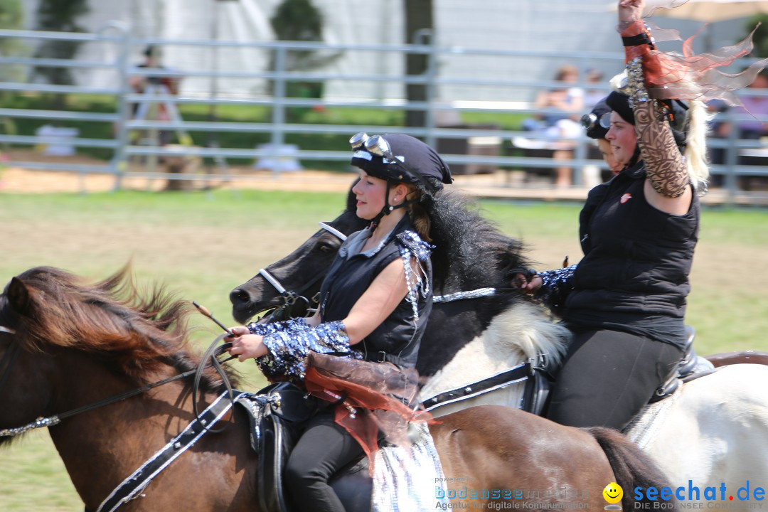 eurocheval - Europamesse des Pferdes - seechat: Offenburg, 27.07.2014