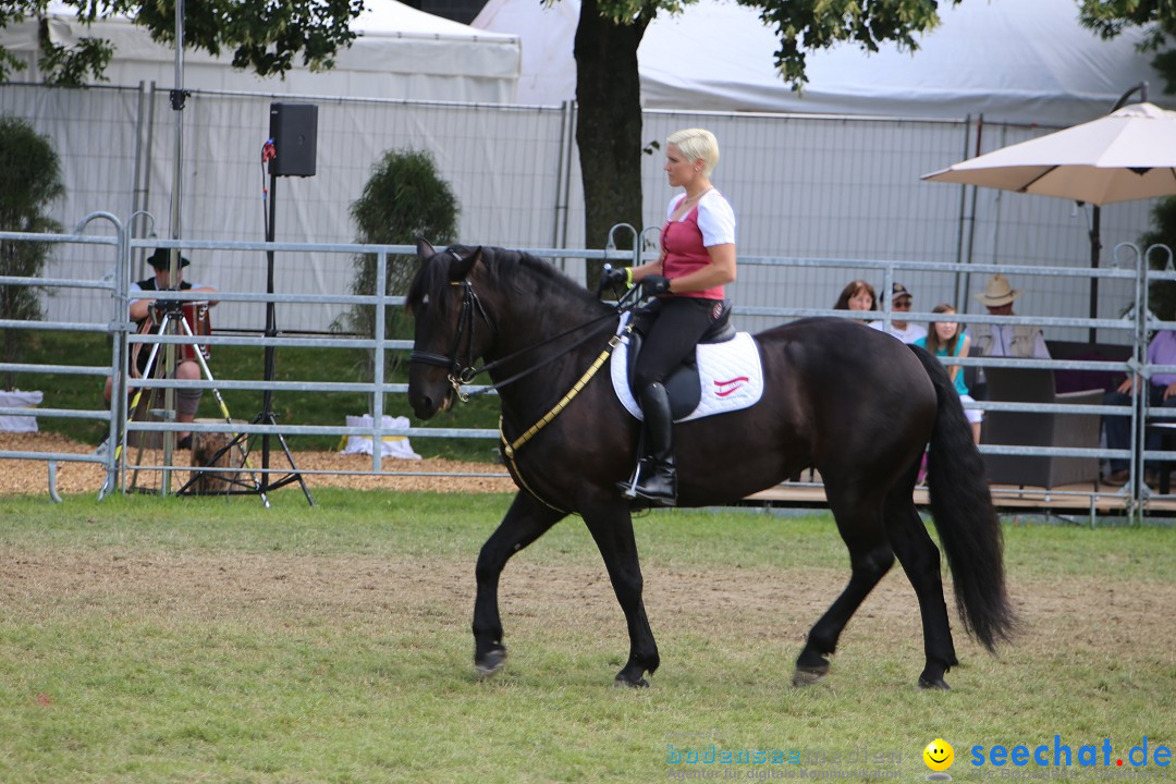 eurocheval - Europamesse des Pferdes - seechat: Offenburg, 27.07.2014