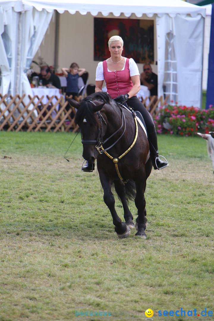 eurocheval - Europamesse des Pferdes - seechat: Offenburg, 27.07.2014