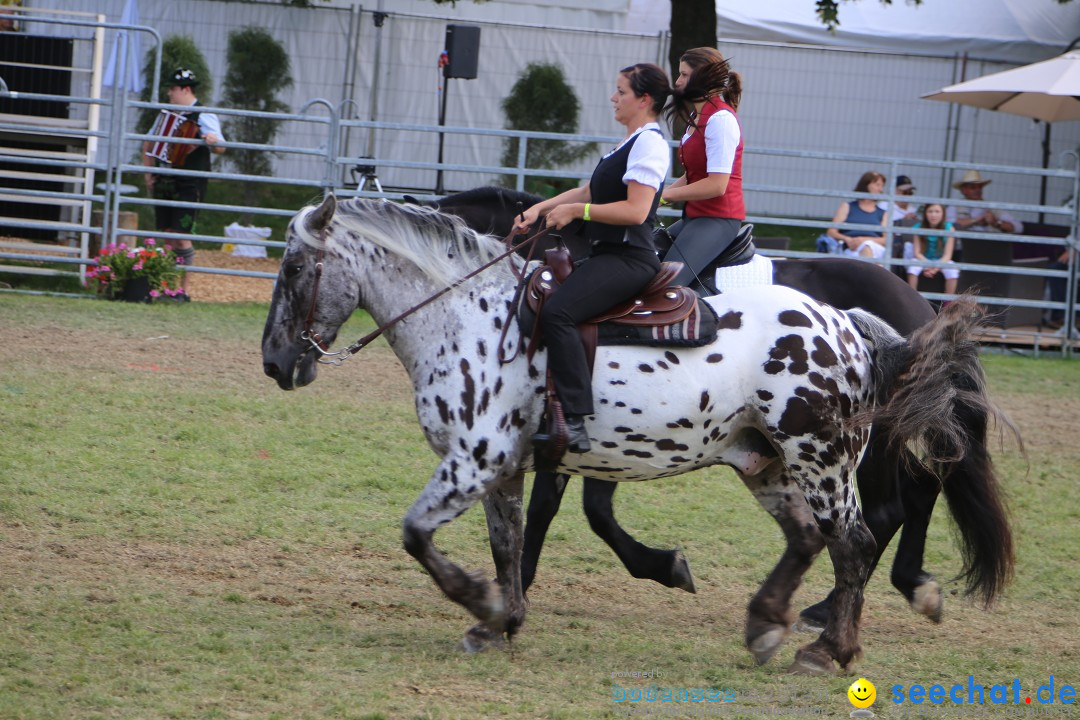 eurocheval - Europamesse des Pferdes - seechat: Offenburg, 27.07.2014