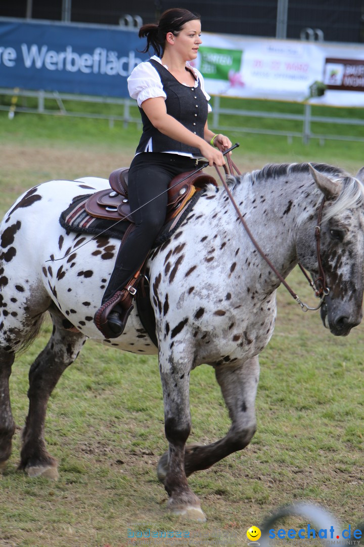 eurocheval - Europamesse des Pferdes - seechat: Offenburg, 27.07.2014