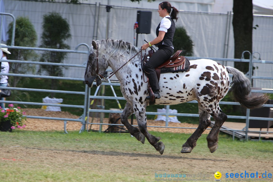 eurocheval - Europamesse des Pferdes - seechat: Offenburg, 27.07.2014