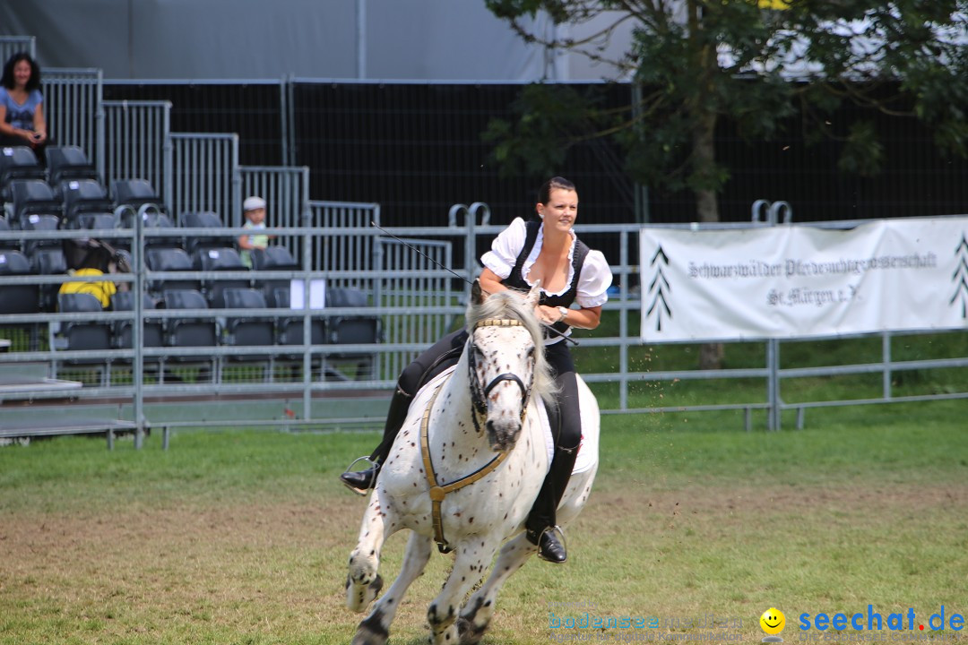 eurocheval - Europamesse des Pferdes - seechat: Offenburg, 27.07.2014