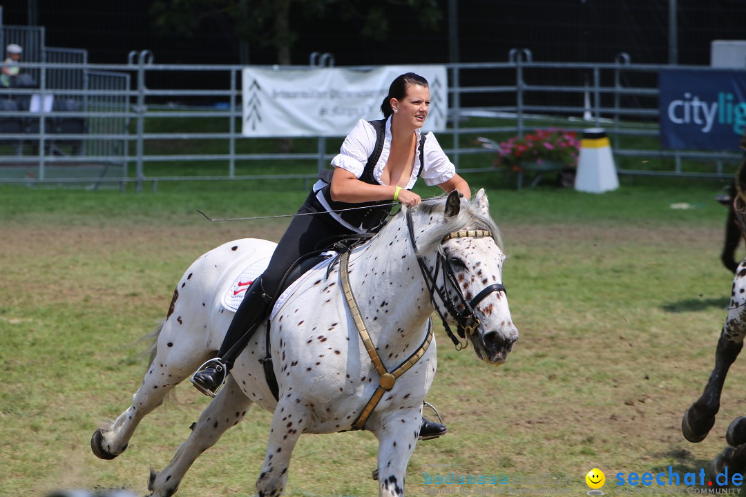 eurocheval - Europamesse des Pferdes - seechat: Offenburg, 27.07.2014