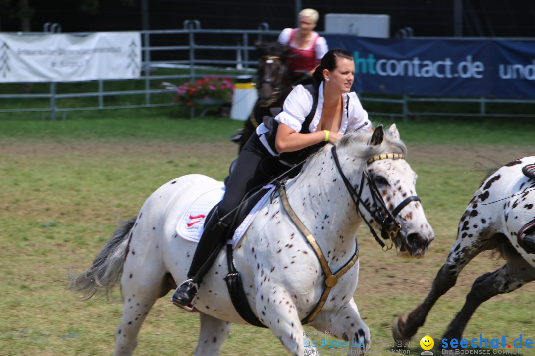 eurocheval - Europamesse des Pferdes - seechat: Offenburg, 27.07.2014