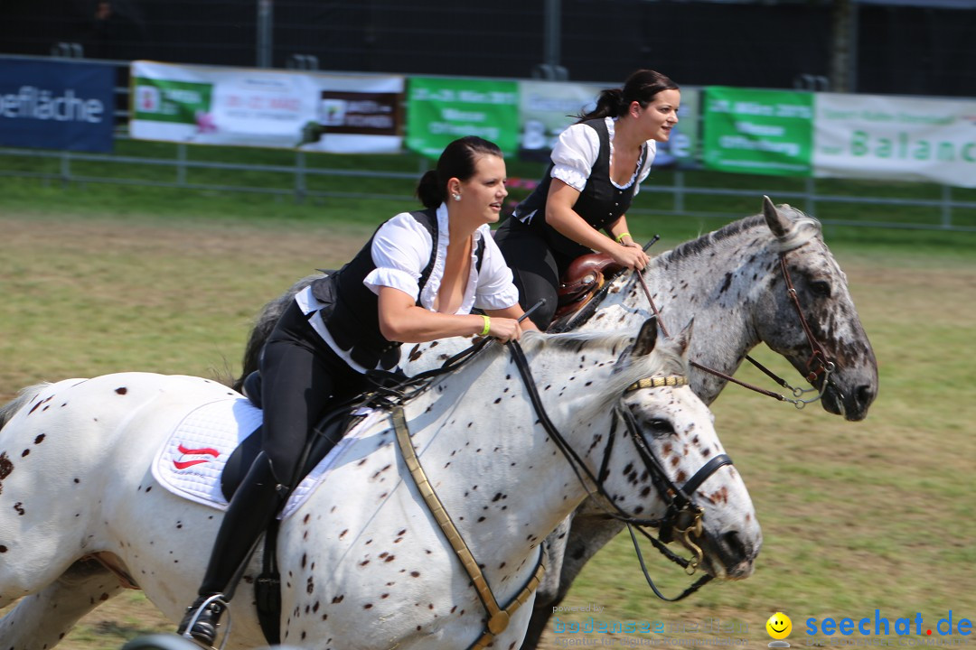 eurocheval - Europamesse des Pferdes - seechat: Offenburg, 27.07.2014