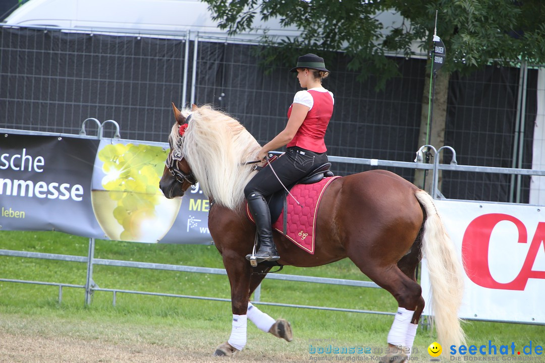 eurocheval - Europamesse des Pferdes - seechat: Offenburg, 27.07.2014