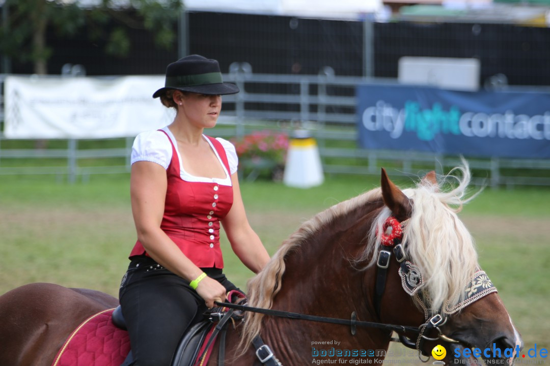 eurocheval - Europamesse des Pferdes - seechat: Offenburg, 27.07.2014