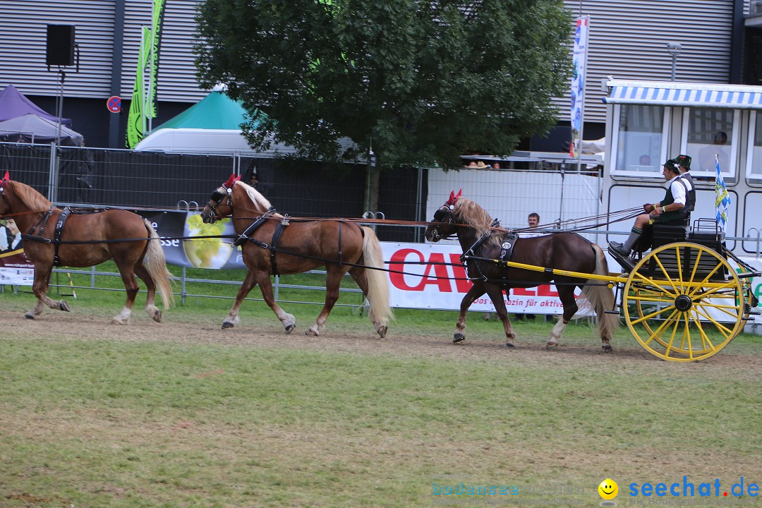 eurocheval - Europamesse des Pferdes - seechat: Offenburg, 27.07.2014