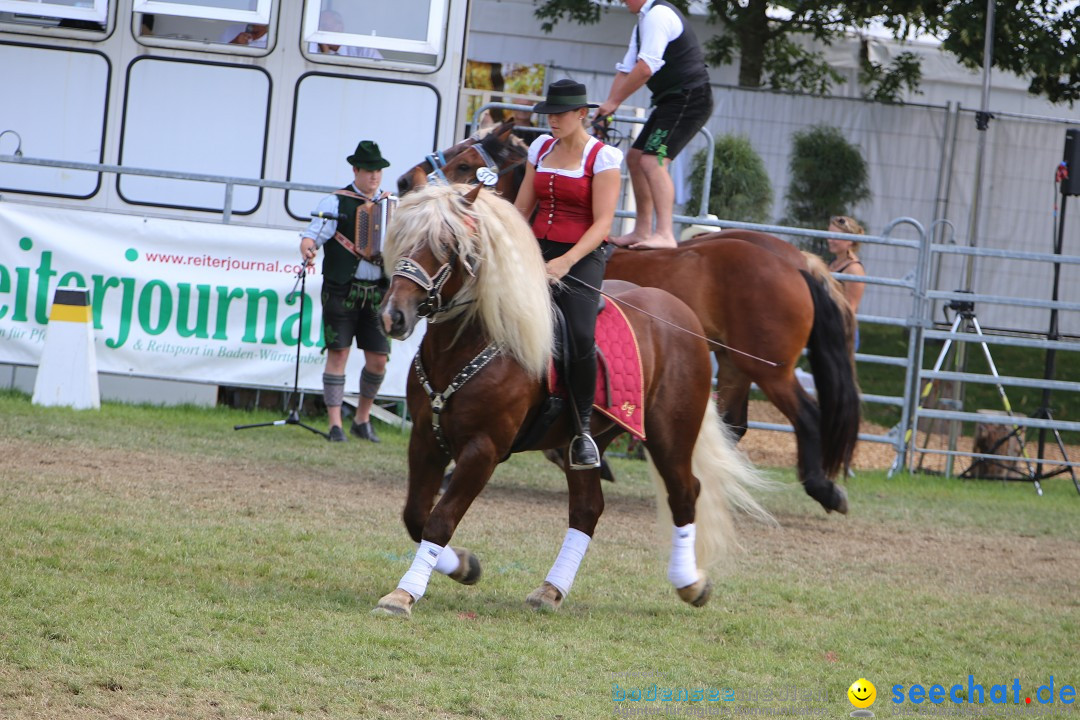 eurocheval - Europamesse des Pferdes - seechat: Offenburg, 27.07.2014