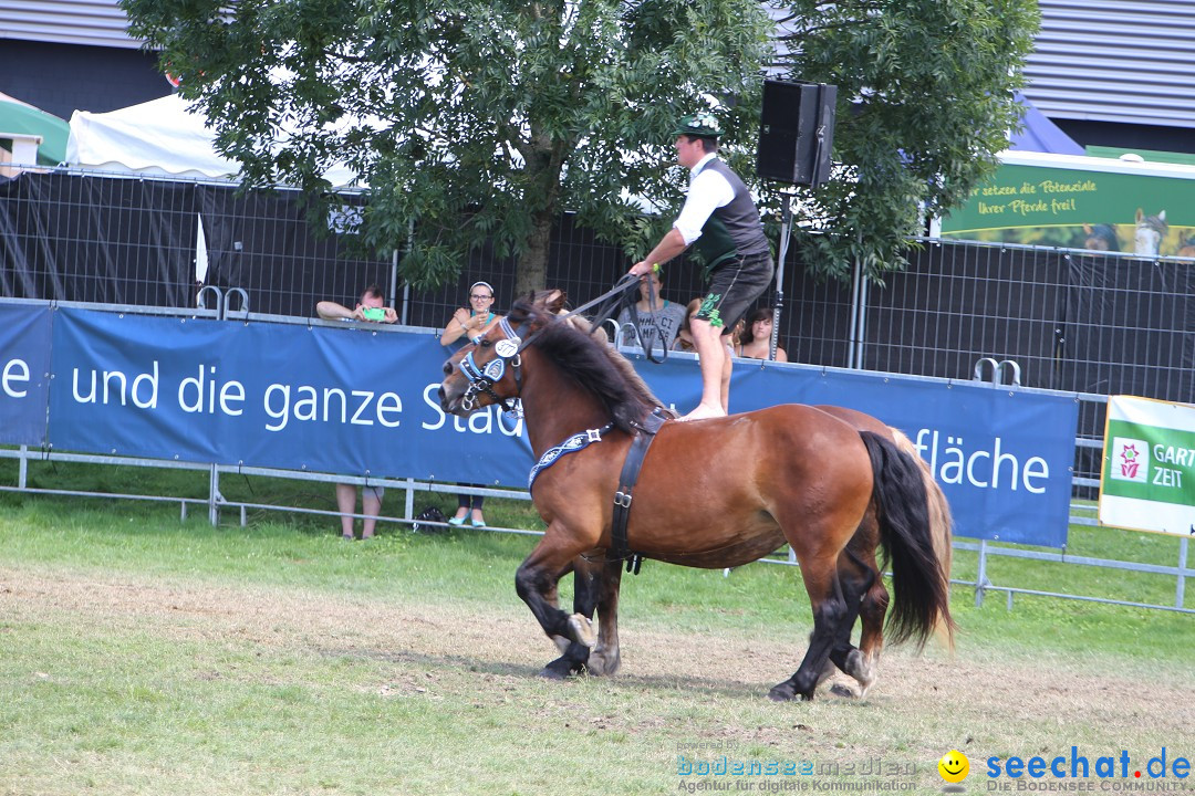 eurocheval - Europamesse des Pferdes - seechat: Offenburg, 27.07.2014