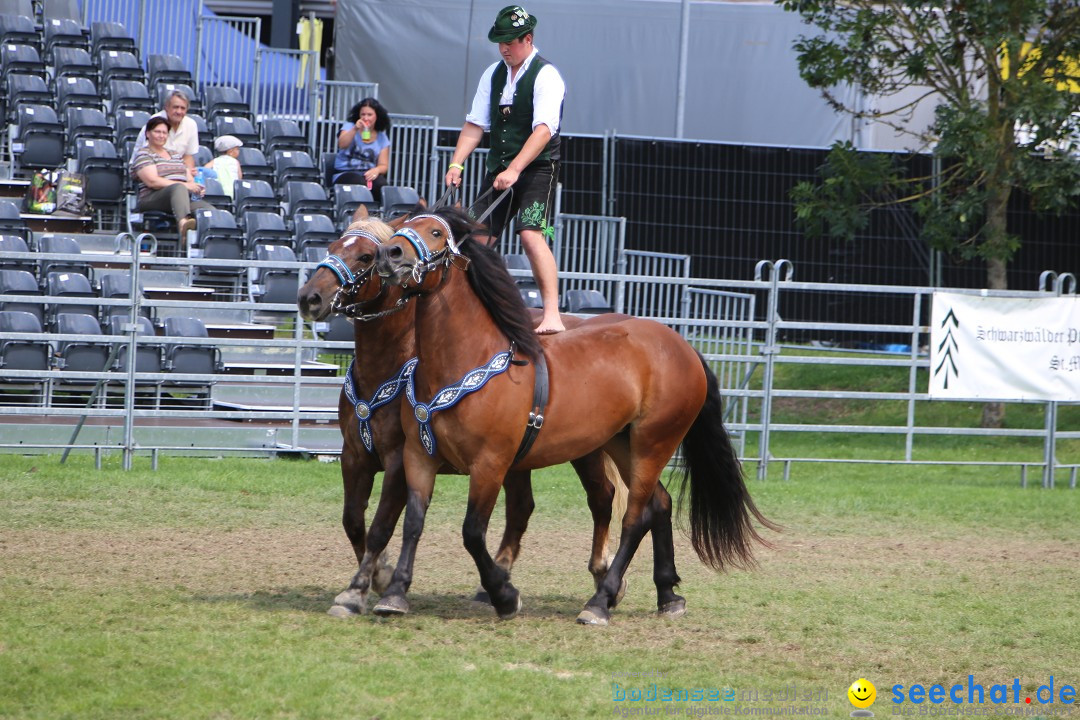 eurocheval - Europamesse des Pferdes - seechat: Offenburg, 27.07.2014