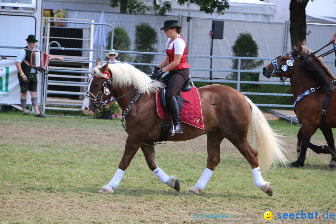 eurocheval - Europamesse des Pferdes - seechat: Offenburg, 27.07.2014