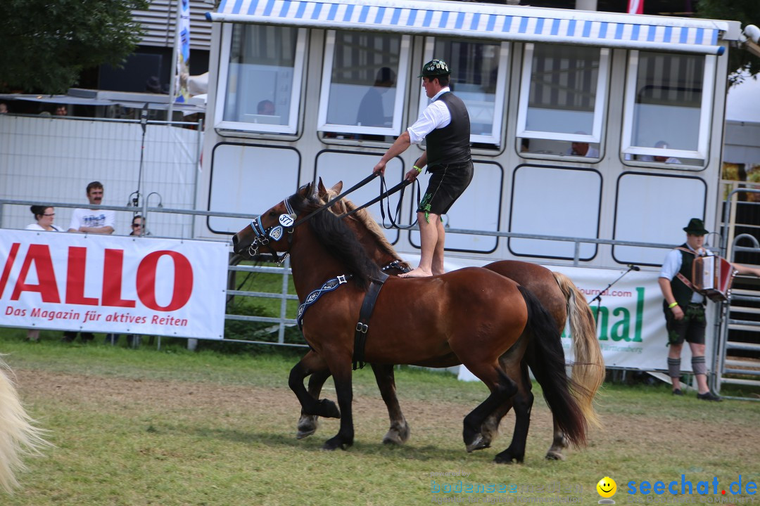 eurocheval - Europamesse des Pferdes - seechat: Offenburg, 27.07.2014