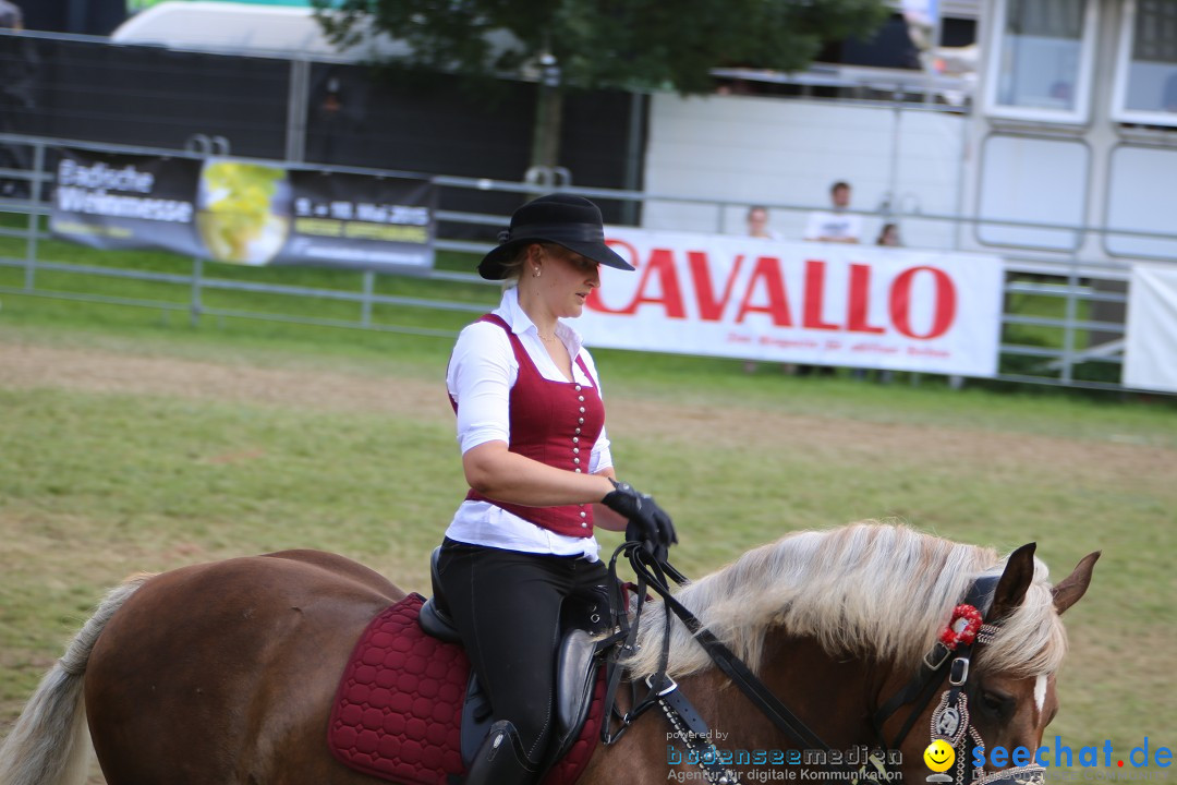 eurocheval - Europamesse des Pferdes - seechat: Offenburg, 27.07.2014