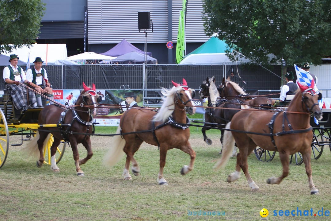 eurocheval - Europamesse des Pferdes - seechat: Offenburg, 27.07.2014