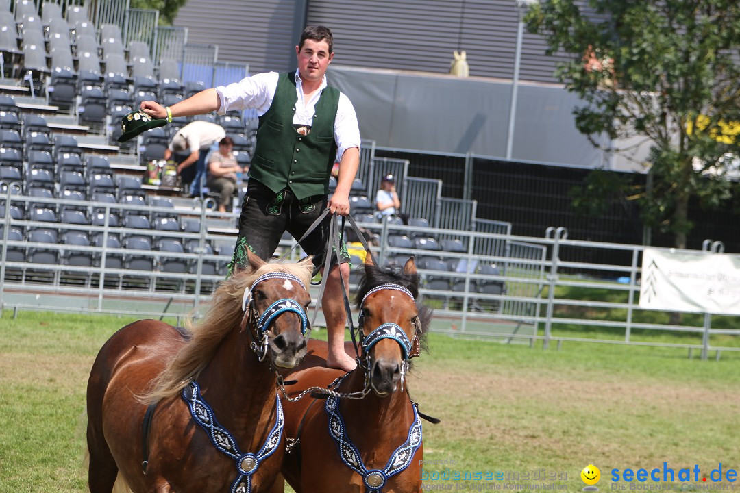 eurocheval - Europamesse des Pferdes - seechat: Offenburg, 27.07.2014