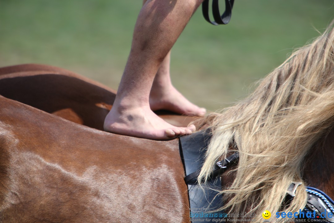 eurocheval - Europamesse des Pferdes - seechat: Offenburg, 27.07.2014