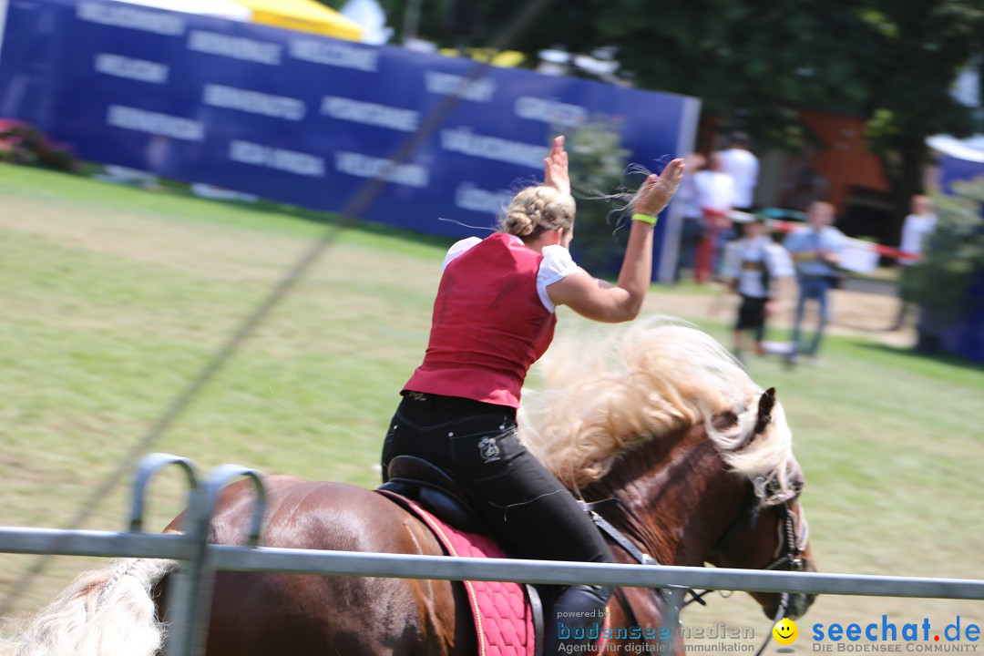 eurocheval - Europamesse des Pferdes - seechat: Offenburg, 27.07.2014