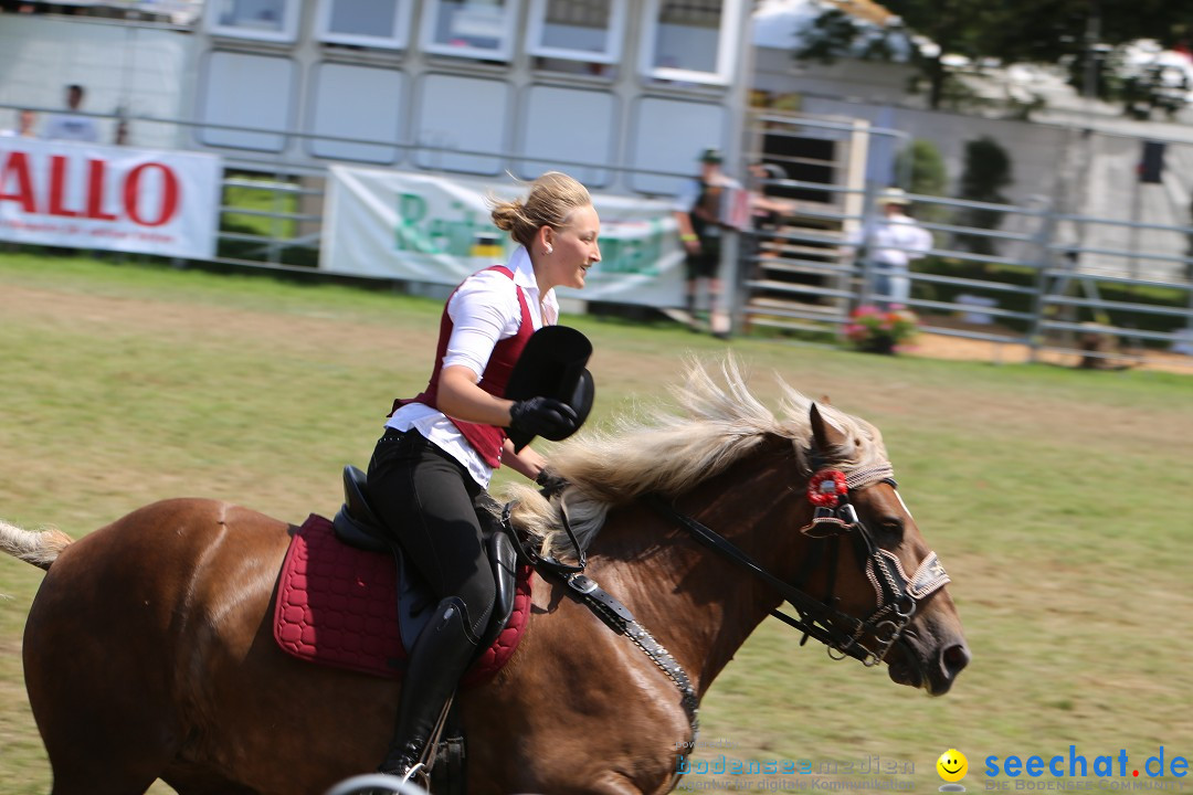 eurocheval - Europamesse des Pferdes - seechat: Offenburg, 27.07.2014