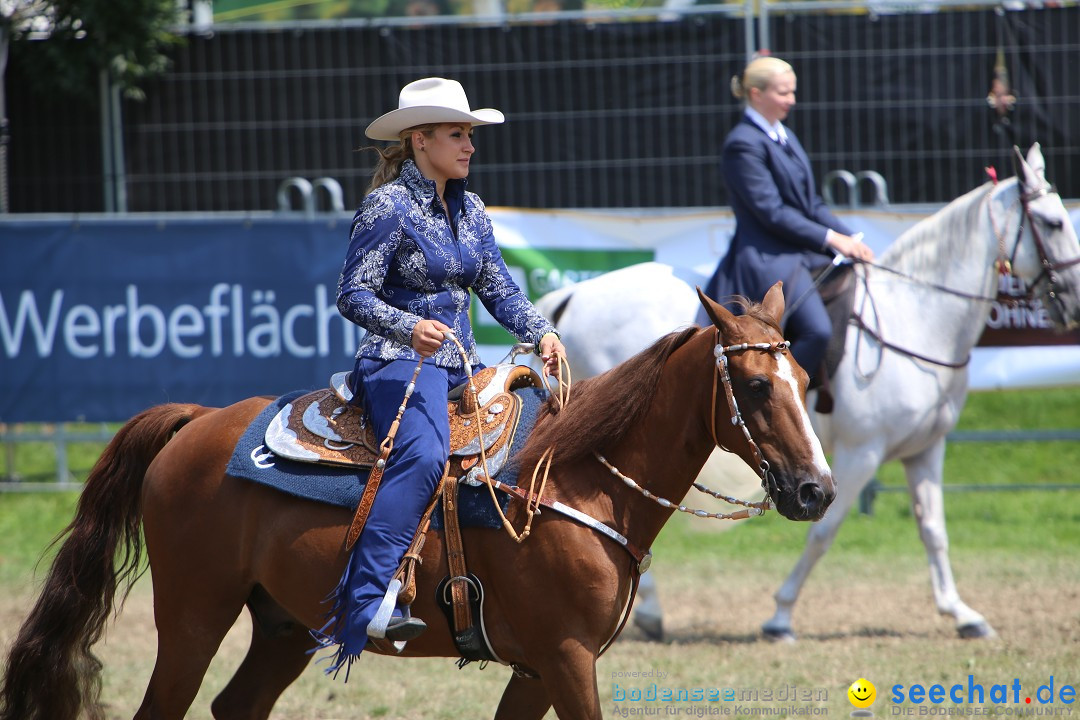 eurocheval - Europamesse des Pferdes - seechat: Offenburg, 27.07.2014