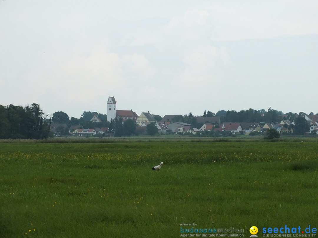 Flohmarkt und Fest: Oggelshausen in Oberschwaben, 02.08.2014