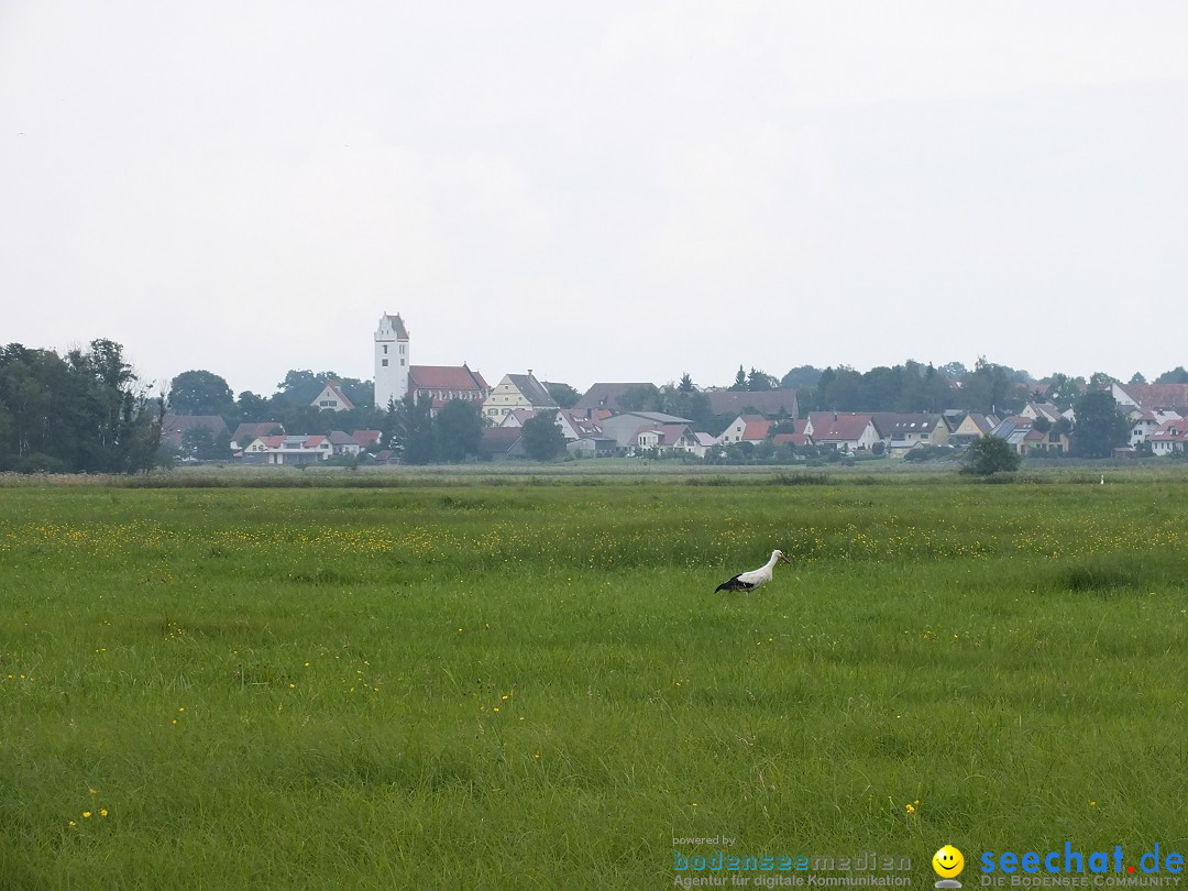 Flohmarkt und Fest: Oggelshausen in Oberschwaben, 02.08.2014