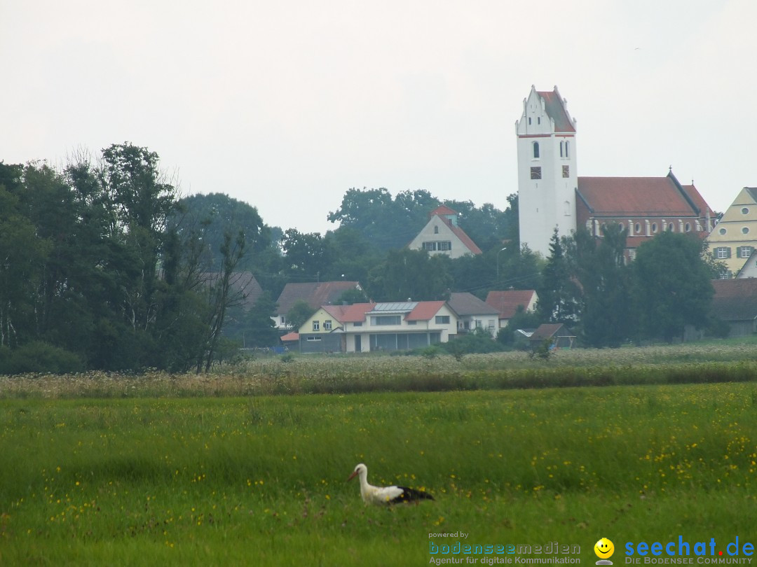 Flohmarkt und Fest: Oggelshausen in Oberschwaben, 02.08.2014