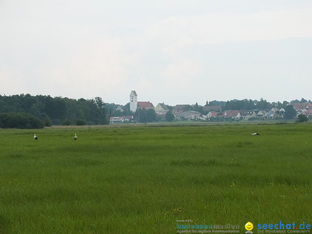 Flohmarkt und Fest: Oggelshausen in Oberschwaben, 02.08.2014