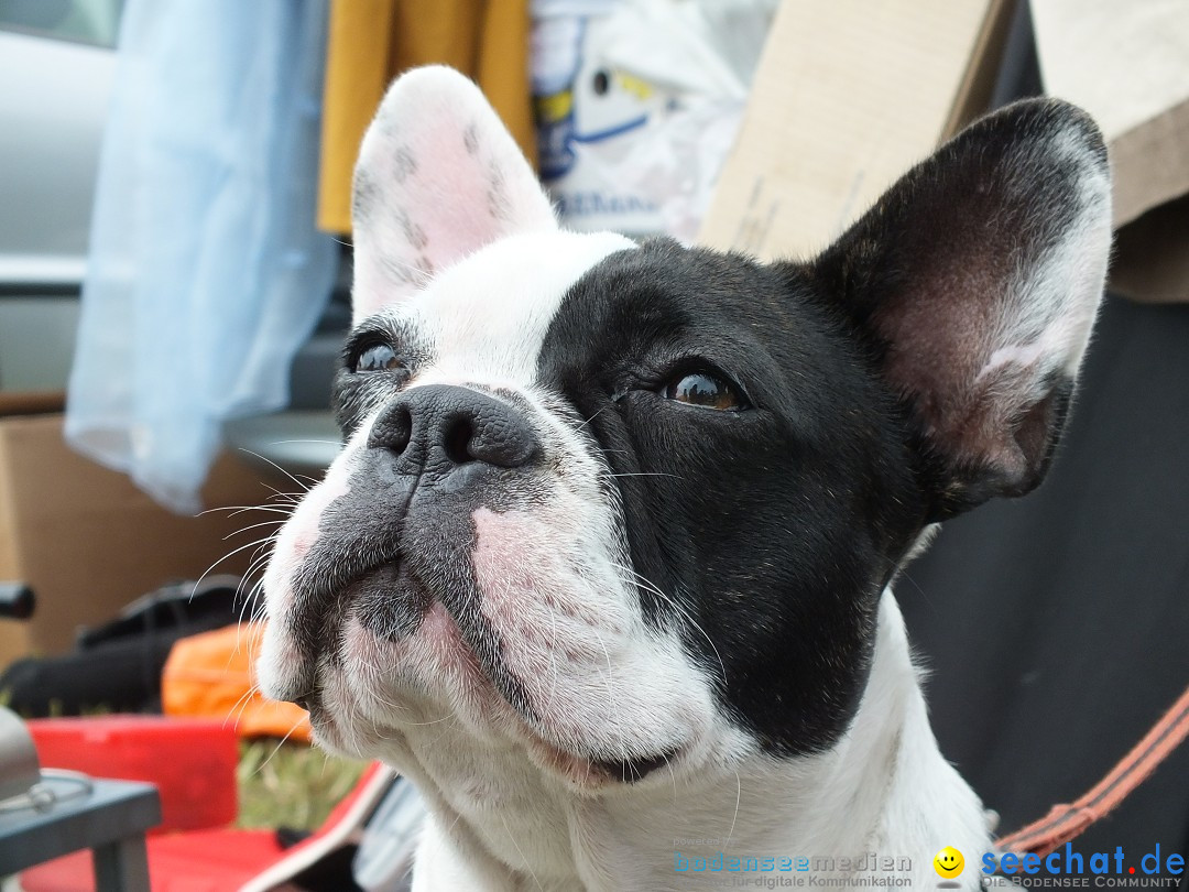 Flohmarkt und Fest: Oggelshausen in Oberschwaben, 02.08.2014