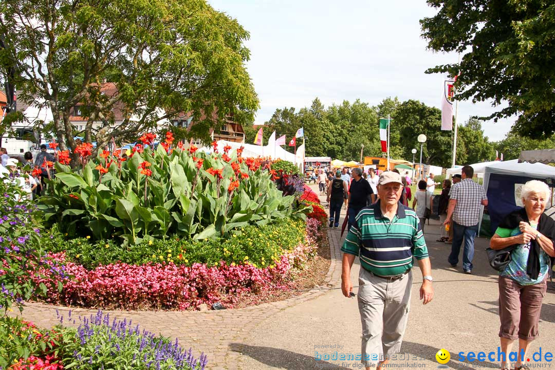 Uferfest und Fischerstechen: Langenargen am Bodensee, 03.08.2014