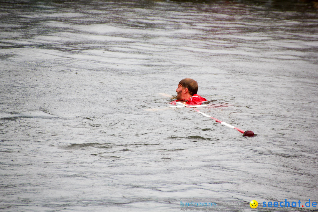 Uferfest und Fischerstechen: Langenargen am Bodensee, 03.08.2014